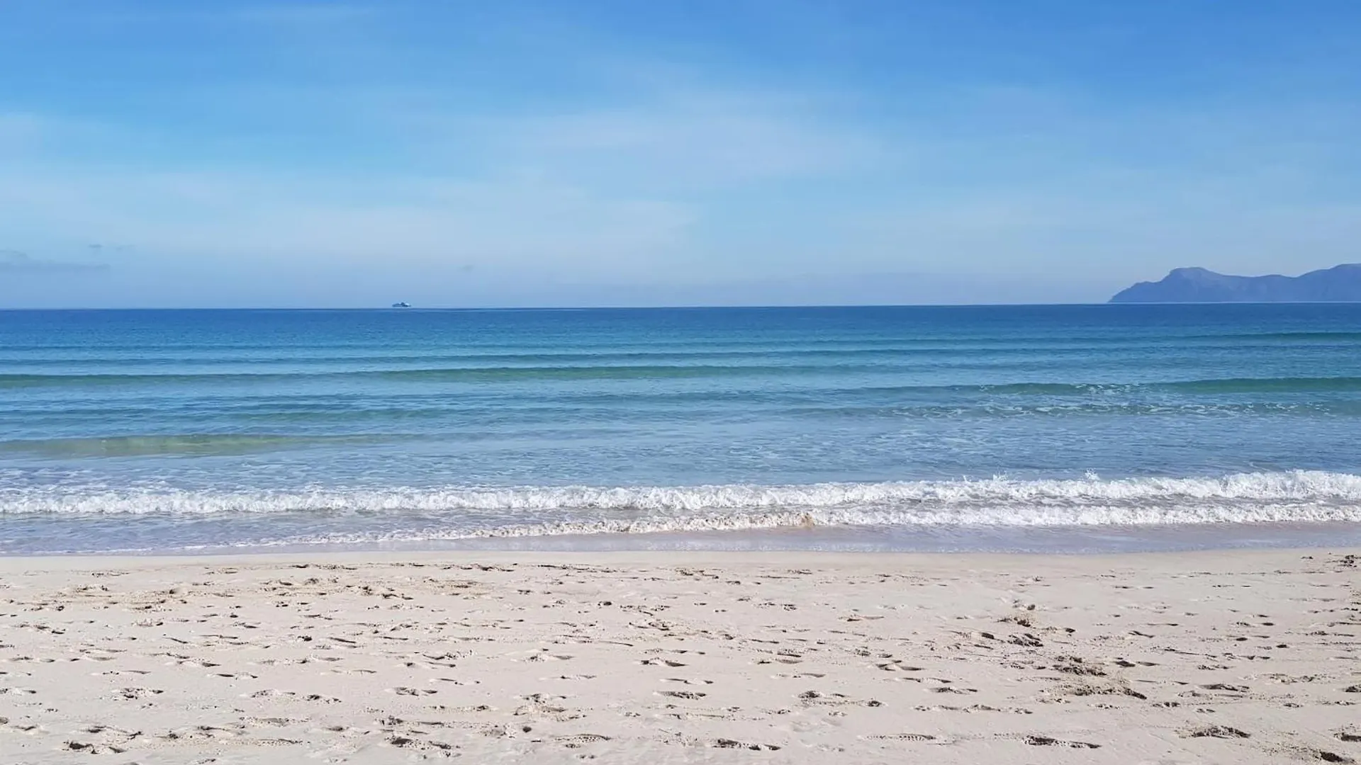 Ideal Property Mallorca - Cittadini 26 Port de Alcudia
